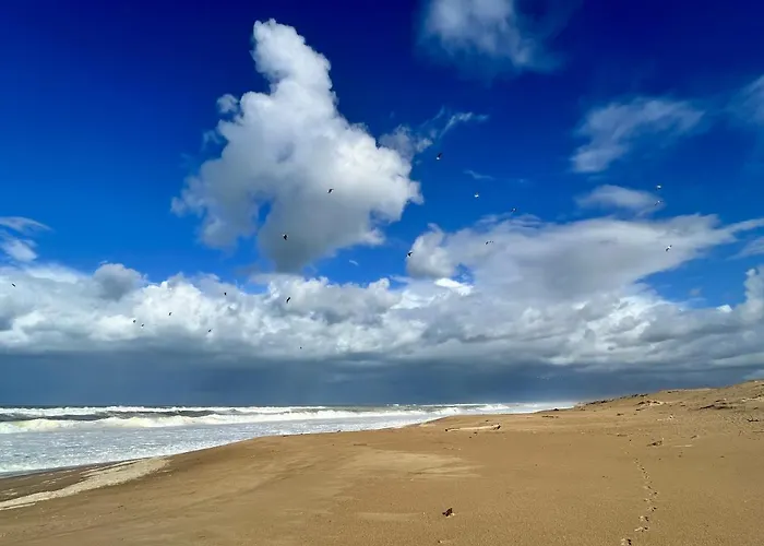 Ecrin De Verdure Entre Foret Et Ocean